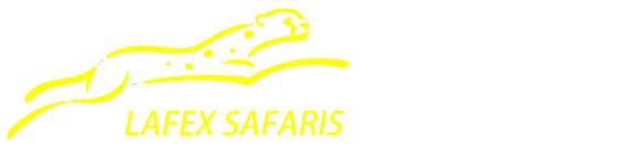 Lafex Safaris
